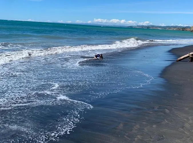 Urenui Beach Bach